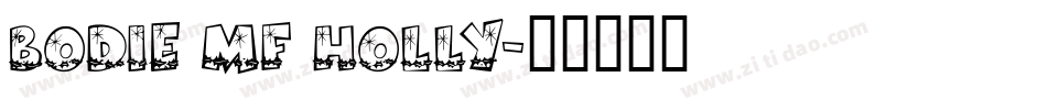 Bodie MF Holly字体转换